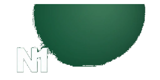 N1 Casino logo